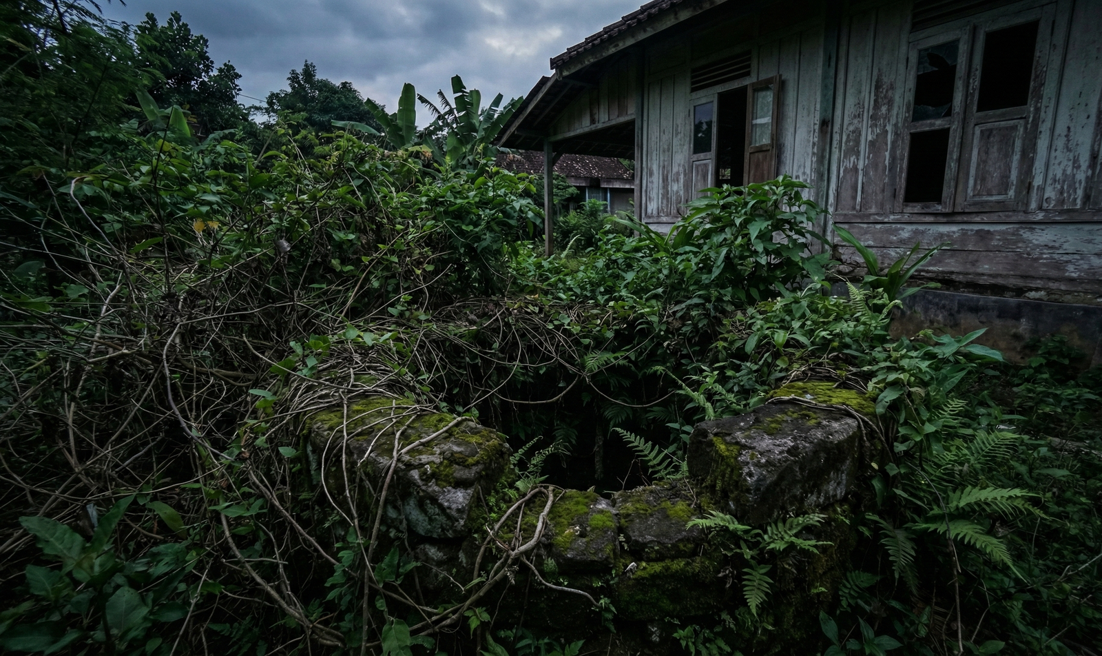 Penampakan angker lokasi misteri sumur tua Trenggalek yang tertutup semak belukar